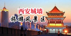 大鸡巴把中年妇女操高潮了美女视频中国陕西-西安城墙旅游风景区